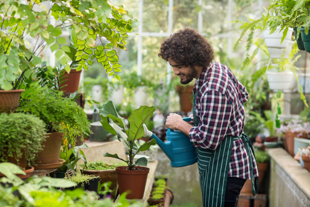 gardening in greenhouse