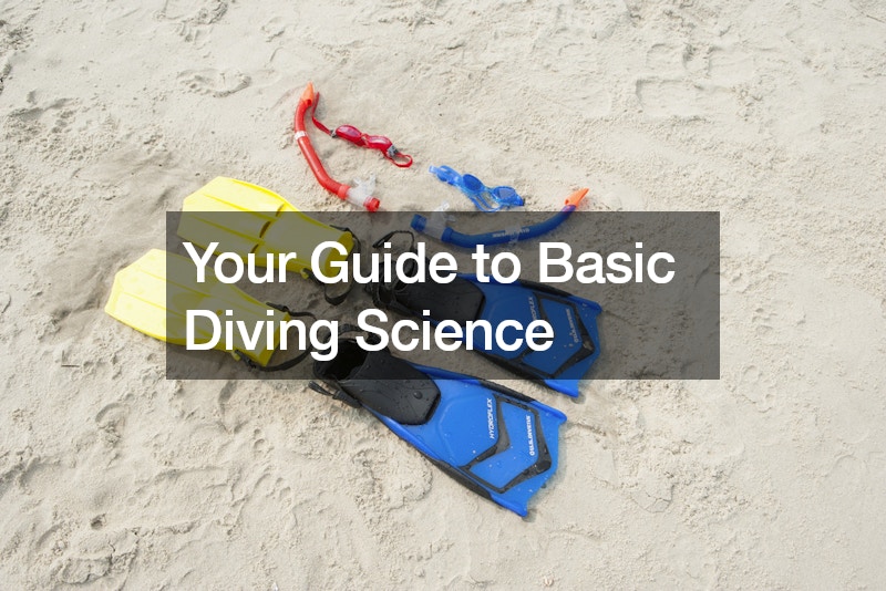 Your Guide to Basic Diving Science