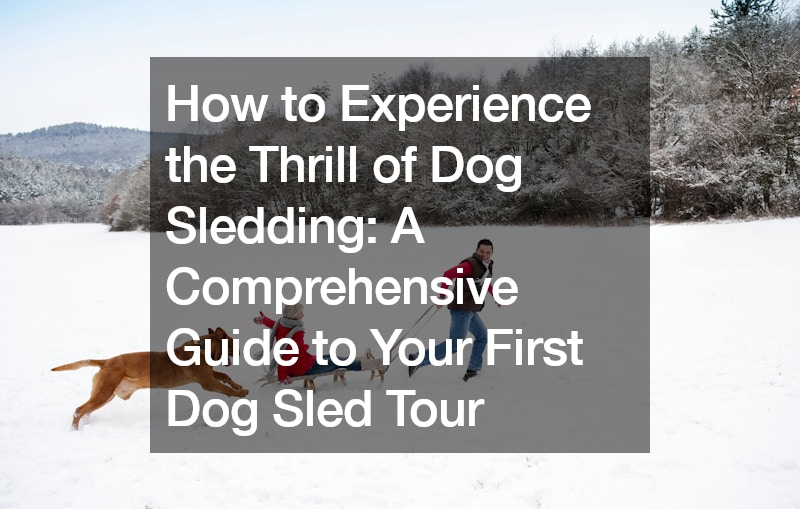 How to Experience the Thrill of Dog Sledding A Comprehensive Guide to Your First Dog Sled Tour